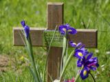 image of grave number 663193